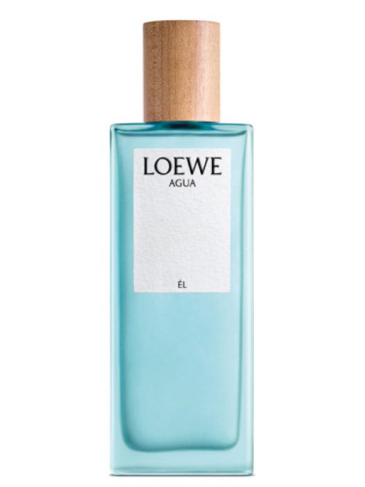 Loewe Agua De Loewe El (M) Edt 100Ml