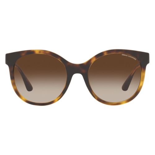 Armani Exchange Shiny Havana Sunglasses-BSAX22191