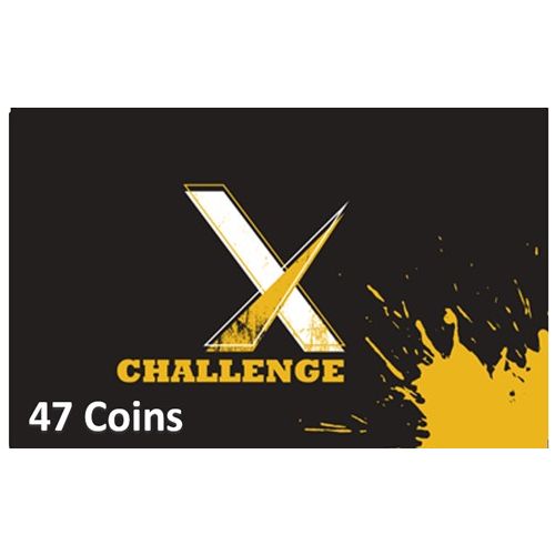 ChallengeX 47 Coins (Instant E-mail Delivery)  