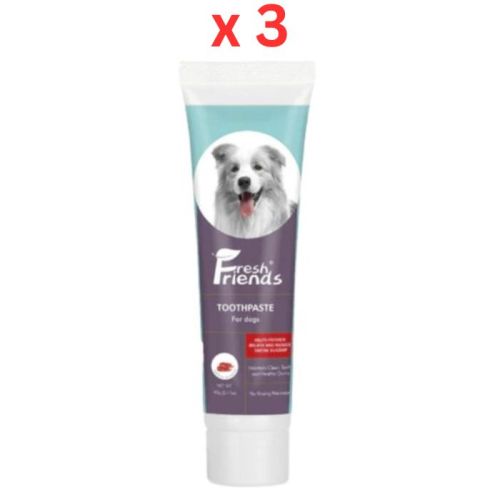 Fresh Friends Dog Toothpaste With Beef Flavor Bio Enzyme - 90g (Pack of 3)