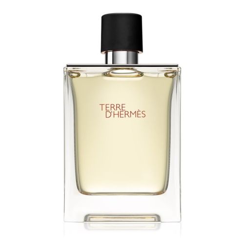 Hermes Terre Dhermes M Edt 100ml-HERM00044 (UAE Delivery Only)