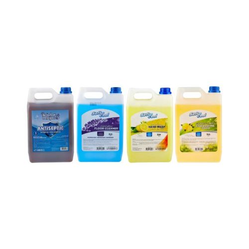 Hotpack Antiseptic Disinfectant 5 Litre - 4 Pieces