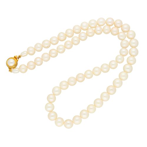 Sri Jagdamba Pearls Trendy Pearls Necklace - JPAPR-19-129-1