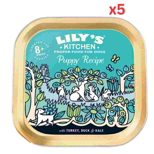 Lily'S Kitchen Turkey & Duck Recipe Puppy Food (150G) (Pack Of 5)