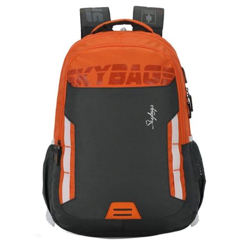 Skybags Figo Extra 02 Unisex Grey School Backpack 30 Ltr - SK BPFIGE2GRY