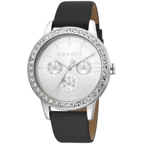 Esprit Silver Women Watch (ES-1042556)