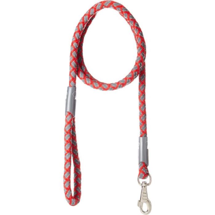 Collar new arrivals and leash