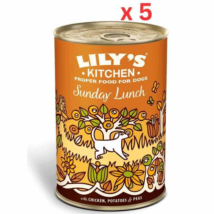 Lily's kitchen wet dog hot sale food