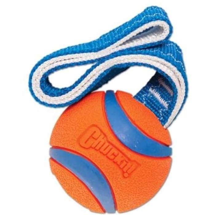 Chuckit tug toy 2025