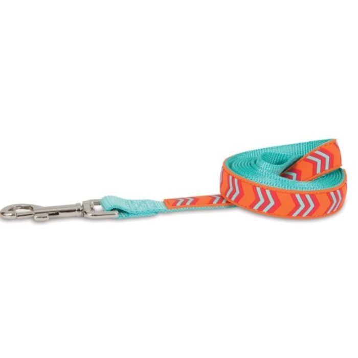 Orange top dog leash